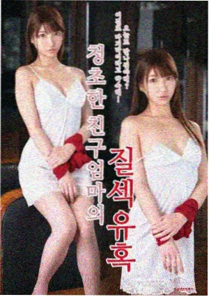 雾港回声剧集详情横幅